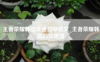 王者荣耀韩信攻速百穿铭文_王者荣耀韩信的攻速值