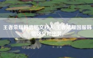 王者荣耀韩信铭文秒人(王者荣耀国服韩信铭文和出装)