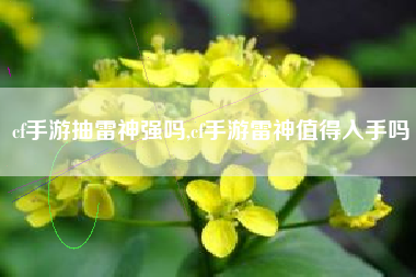cf手游抽雷神强吗,cf手游雷神值得入手吗