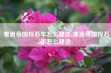 重返帝国投石车怎么建造(重返帝国投石车怎么建造)